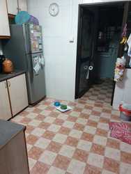 Blk 925 Hougang Street 91 (Hougang), HDB 4 Rooms #219339441